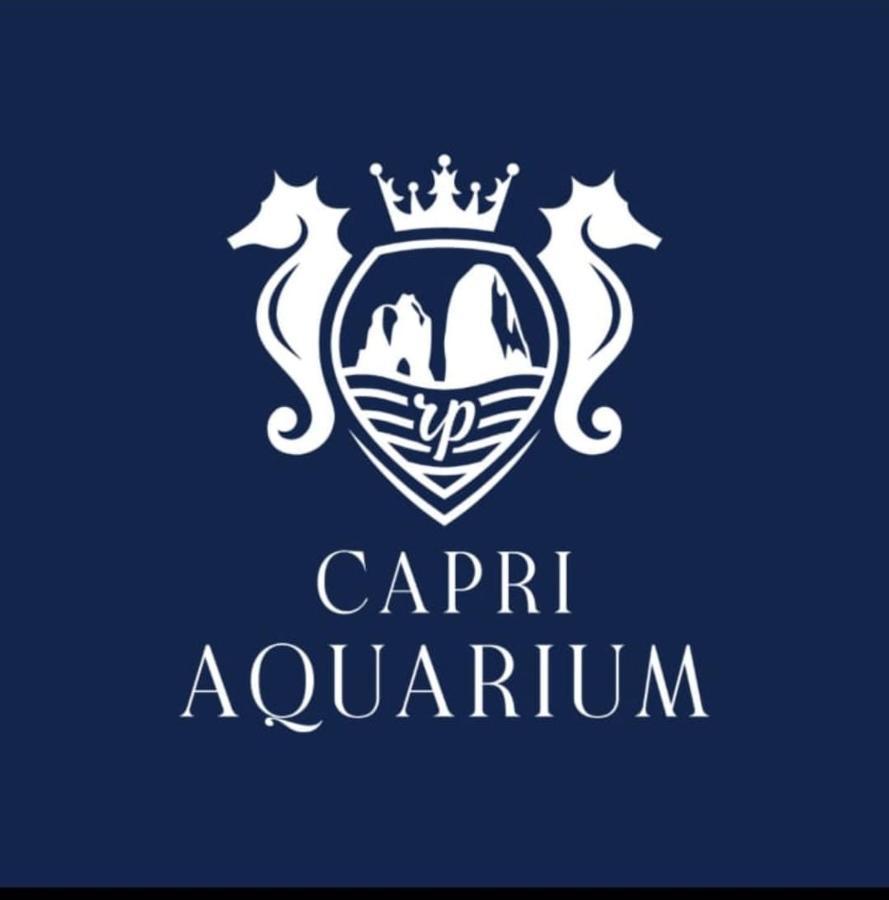 Capri Aquarium Family - Vacation Home ภายนอก รูปภาพ